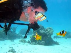 Red Sea, no more than 10 meters deep, great visibility, l... by Stevica Mrdja 
